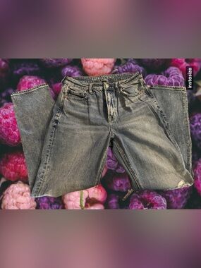 American Eagle Outfitters Slim Straight Distressed Blue Jeans
